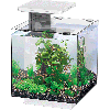 Acquario Qubiq 15 Led Bianco