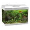 Amtra - Acquario Basic Led 80 Bianco 80x32x47cm 85Lt