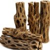 Cholla Wood 20-25 cm
