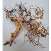 Scaping Twigs / Small Tree 30-50cm - Legno Chiaro per Acquario/Terrario