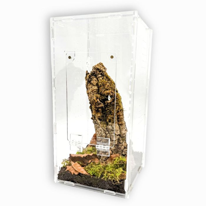 Terrario per mantidi