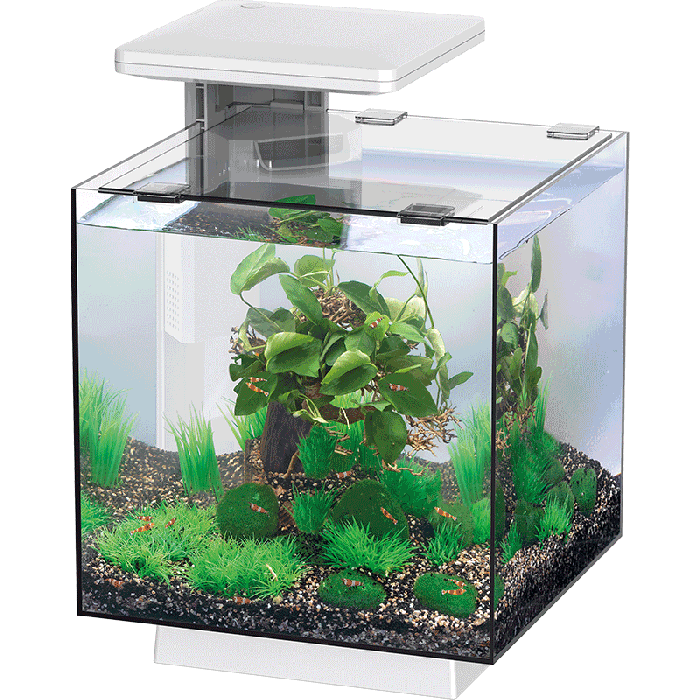 Acquario Qubiq 15 Led