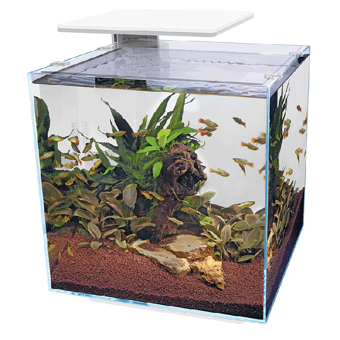 Acquario Qubiq 60 Pro Bianco