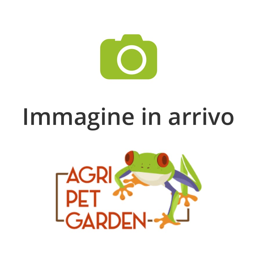 AMTRA Quarzo bianco avorio finissimo 0,1-0,7mm 2kg
