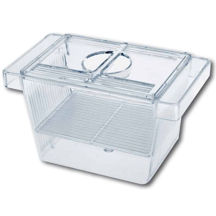 Amtra - Sala parto 3 in 1 con coperchio 