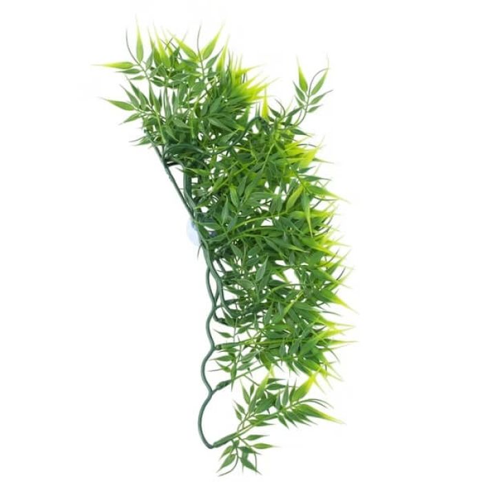 Bamboo leaves con ventose 80cm