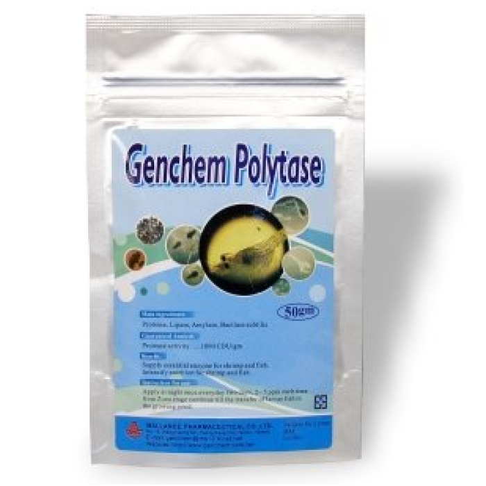 Biomax Polytase