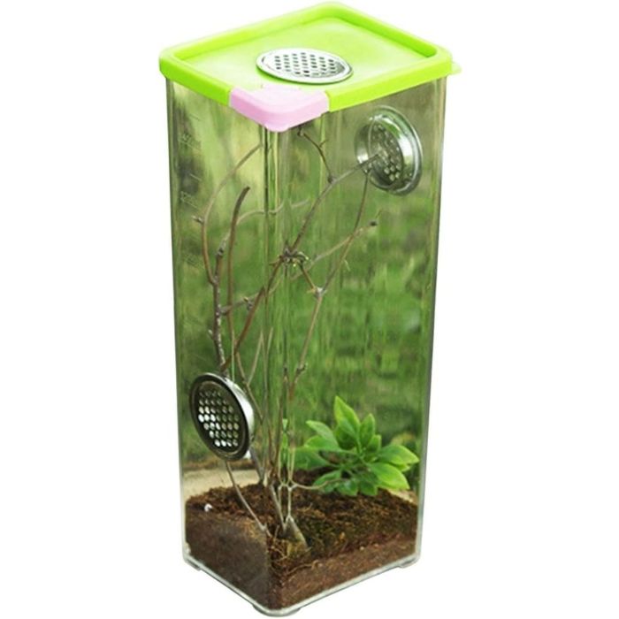 Box allevamento arboricoli 11x8x25cm