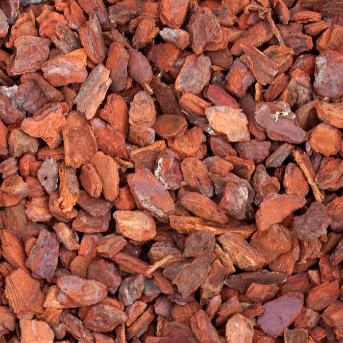 Dr.Raptor Bark Chips - Corteccia rossa Premium fine