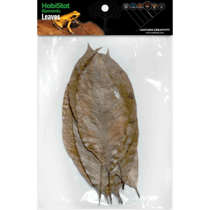 Habistat Rubber Leaves