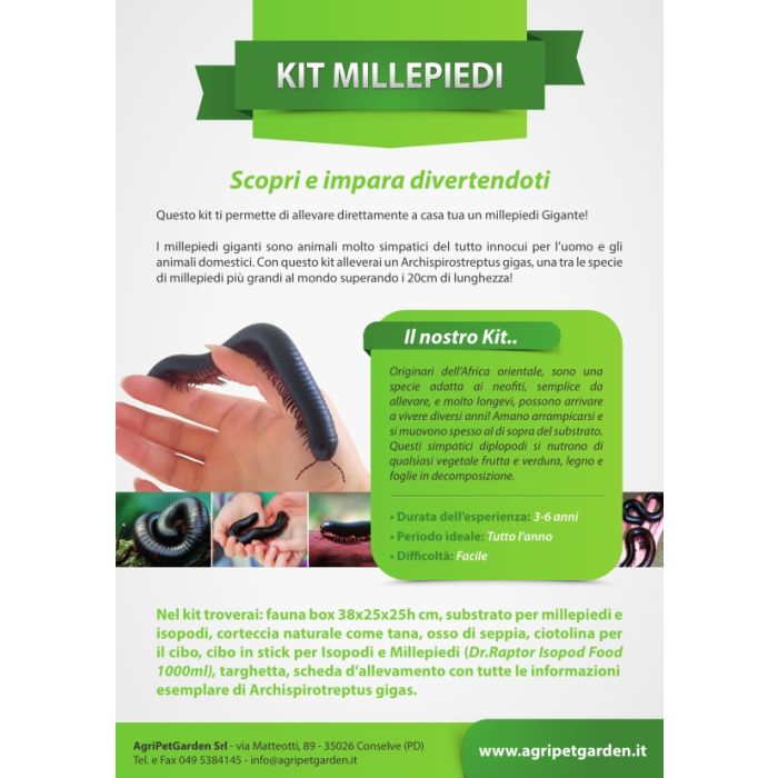 Millepiedi Kit - Kit didattico allevamento Archispirotreptus gigas - Millepiedi Gigante