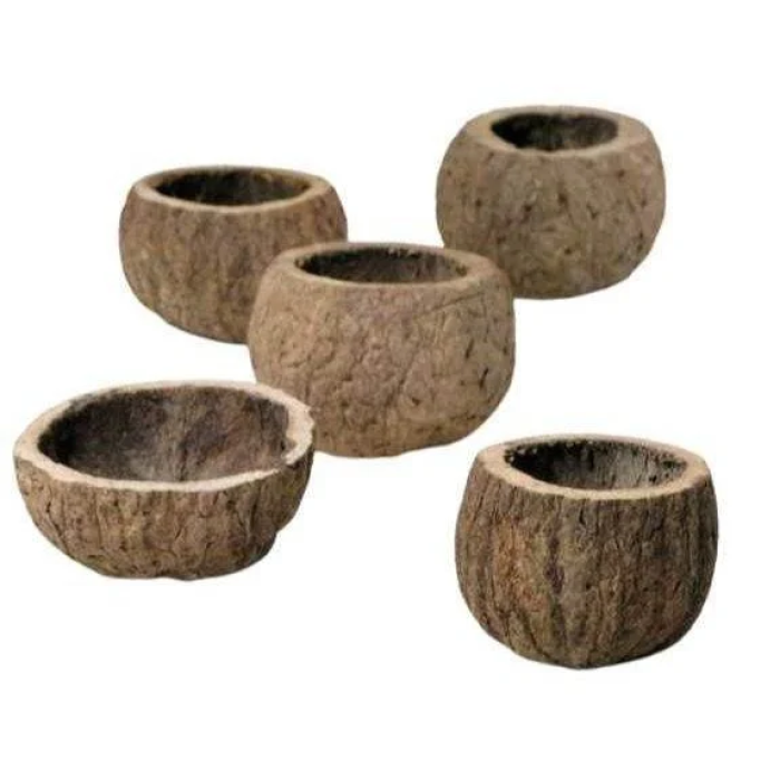 Mezza Noce di Cocco 8-10cm