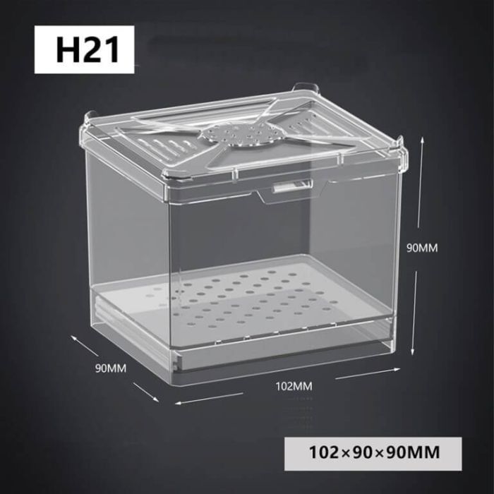 Mini breeding box