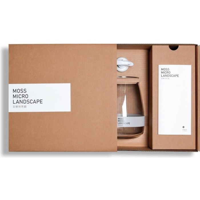 Kit Wabi Kusa Completo per Mini Terrario con Muschi - Set Moss Micro Landscape