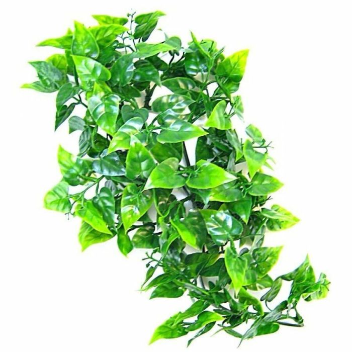 Philodendron leaves con ventose 80cm