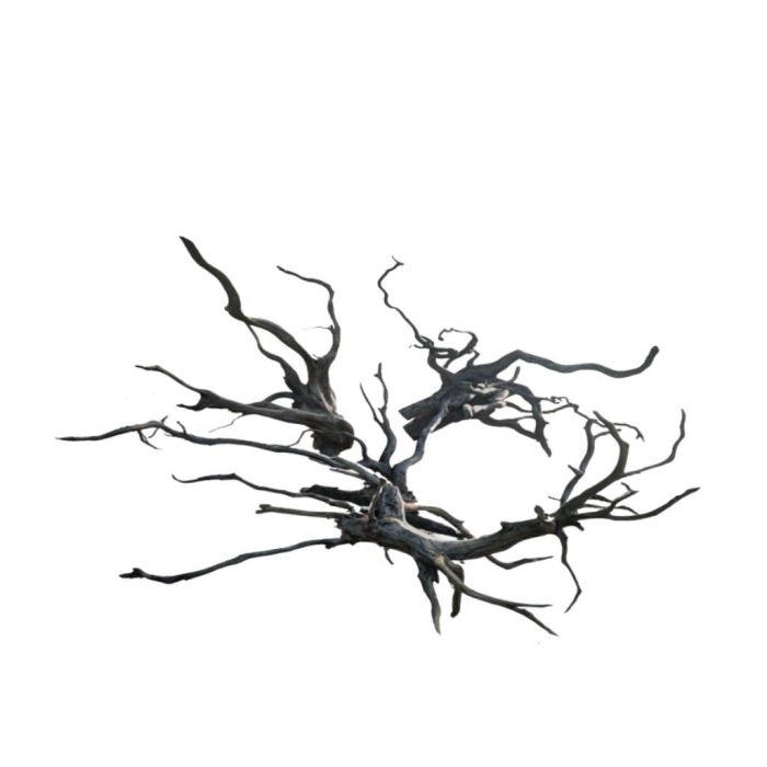 Legno scuro per Acquario/Terrario Rasamala Black