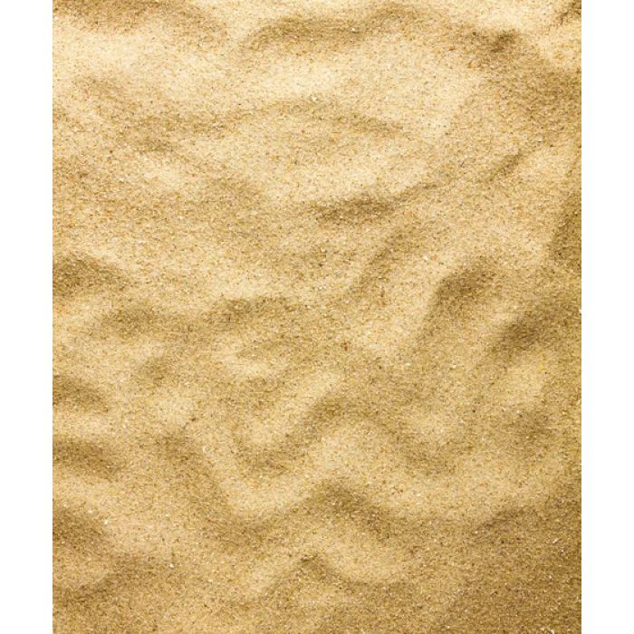 Dr.Raptor Desert Sand Gialla 10kg