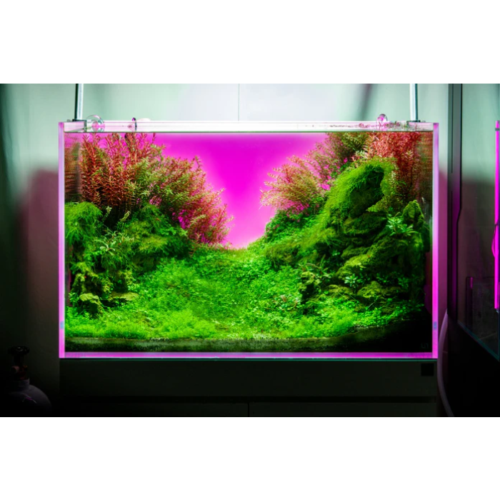 Sfondo Led luminoso per Acquario - UNS