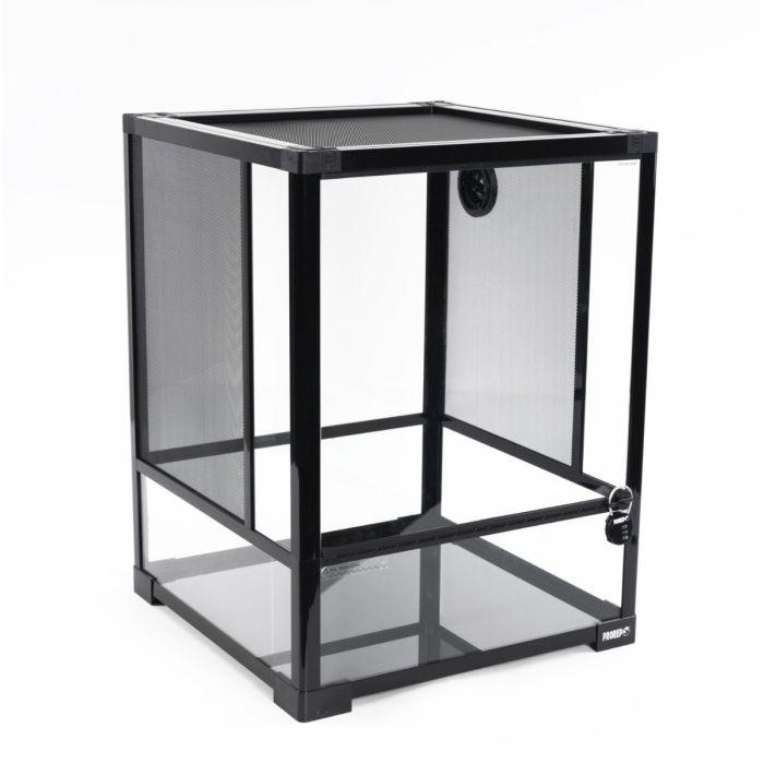 Terrari in Vetro FLATPACK ProRep