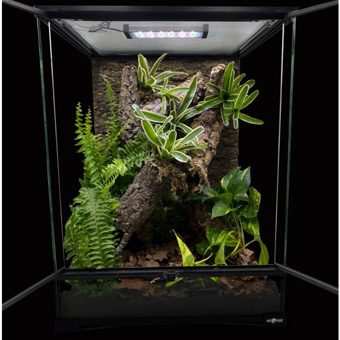 Terrario Bioattivo per Geco Ciliatus 45x45x60cm