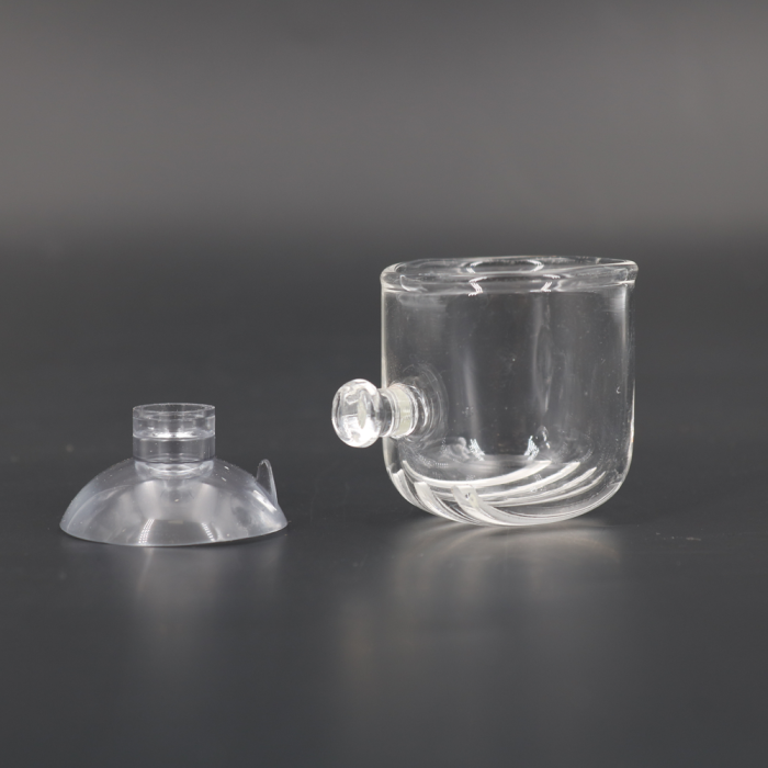 Vaso per Piante o per Cibo Vivo in Vetro S - Ø 3cm H3,5cm