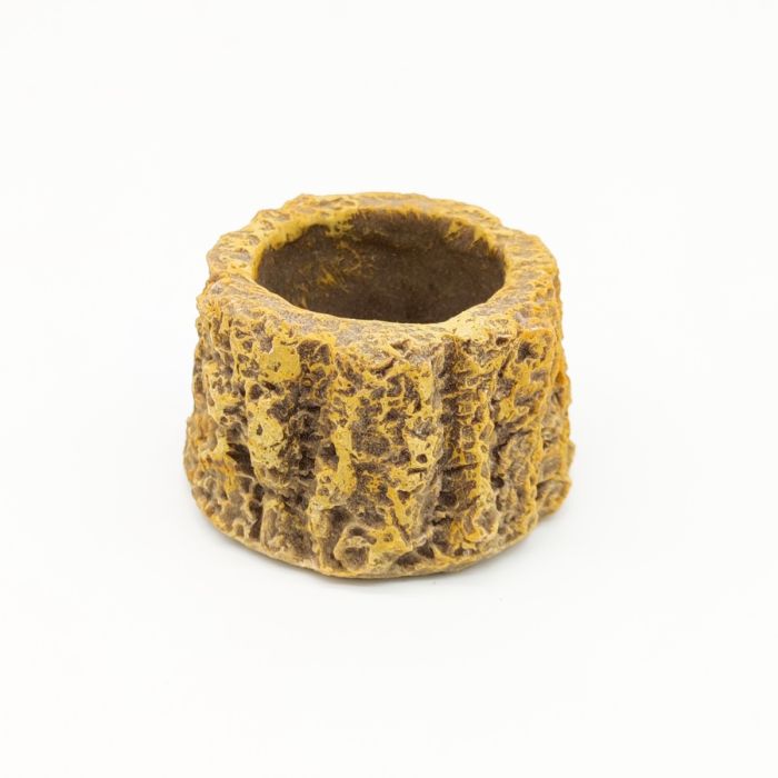 Wood Dish - Ciotola per piccoli terrari