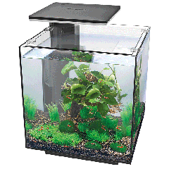 Acquario Qubiq 30 Pro