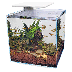 Acquario Qubiq 60 Pro Bianco