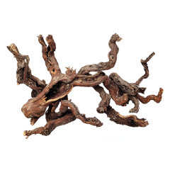 Wio - Centurion Wood