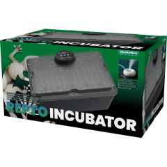 Repto Incubator - Incubatrice per uova di Rettili