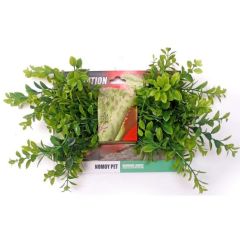 Ludwigia plant con ventose 80cm