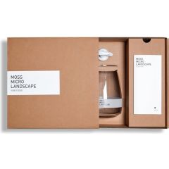 Kit Wabi Kusa Completo per Mini Terrario con Muschi - Set Moss Micro Landscape