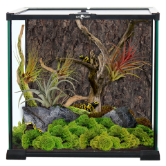 Terrario in Vetro 30x30x30cm ReptiPlanet